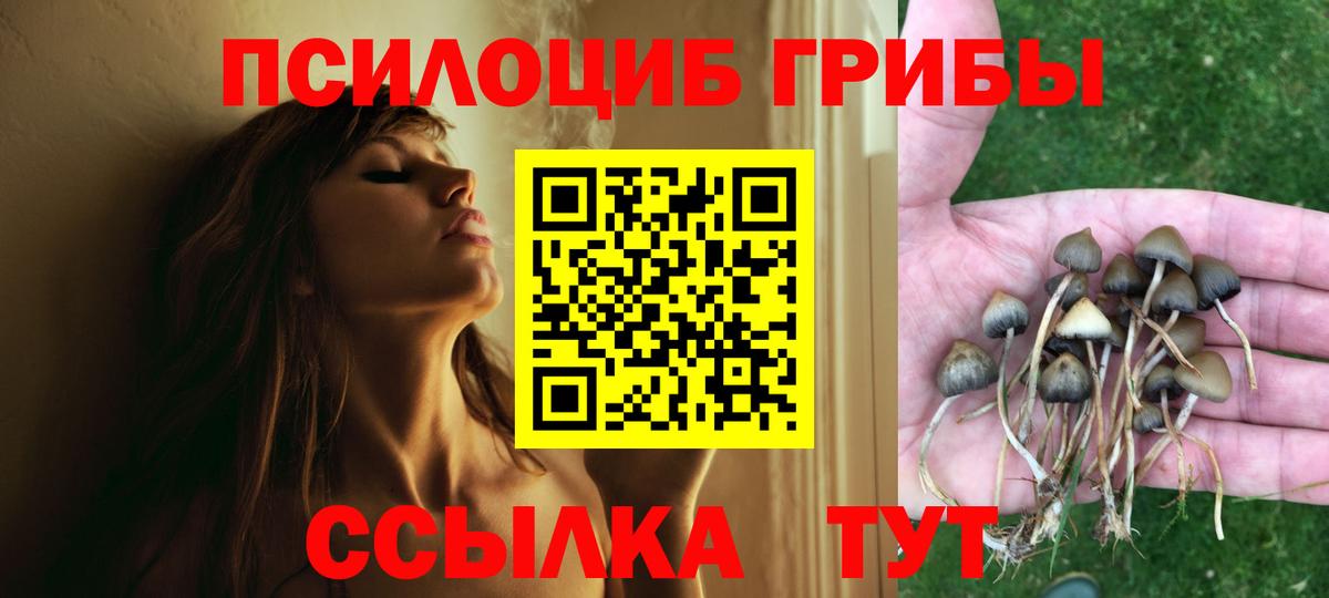 Новочебоксарск  хочу наркоту  Вход с VPN  Псилоцибиновые грибы MAGIC MUSHROOMS 